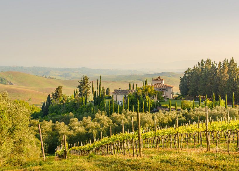 House on the hill - Tuscany by Tony Buijse