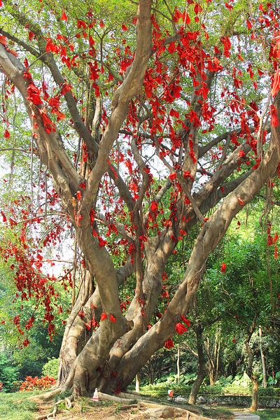 L'arbre de vie par Inge Hogenbijl