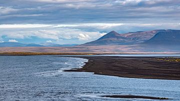IJslands landschap bij de basaltrotsen van Hvítserkur van Thomas Heitz