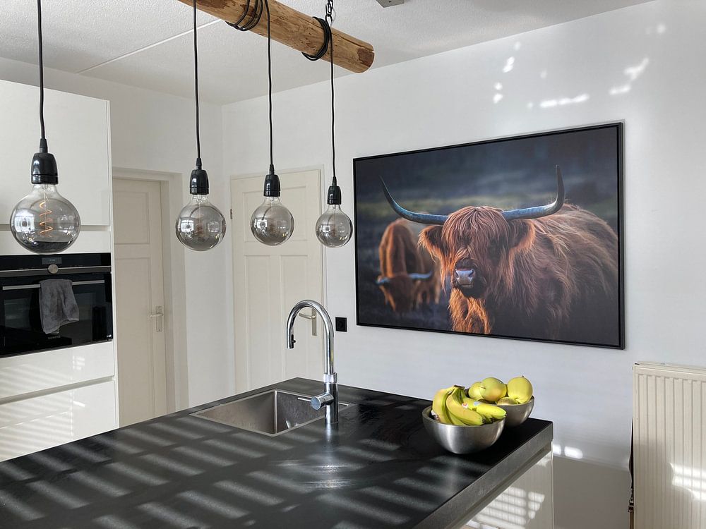 Schottischer Highlander im Abendlicht. Goldene Stunde. Schottisches Hochlandrind  von Henk Van Nunen Fotografie 