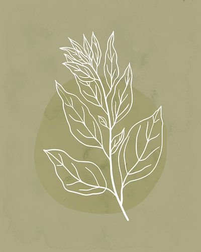 Minimalist illustration in white and green