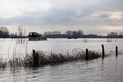 La Meuse avec un niveau d'eau élevé
