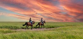 Horse riding in the salt marshes of the North Sea by Animaflora PicsStock