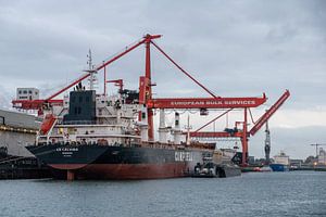 Seeschiff im Hafen von Rotterdam