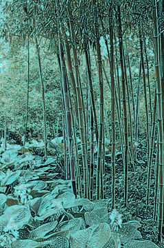 Bamboe met hosta's van Diana Mets