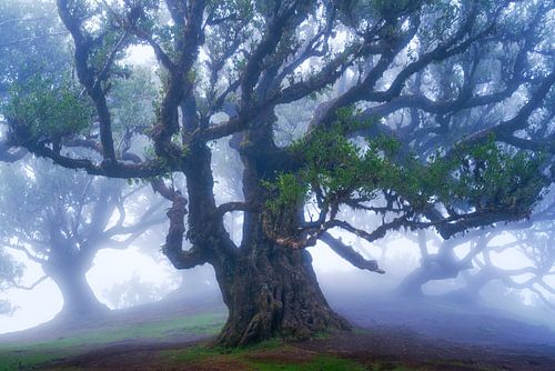 Het nageslacht beschermen