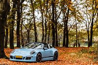 Porsche 991 Targa 4S Exclusive Edition