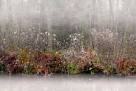 Slootkant in de mist von Jenco van Zalk Miniaturansicht