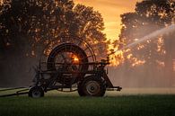zomeravond in de achterhoek van Roy Kreeftenberg thumbnail