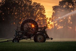 zomeravond in de achterhoek van Roy Kreeftenberg