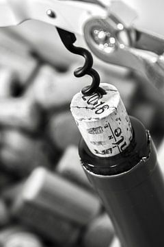 corkscrew by Claudia Bouman