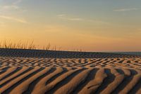 AMELAND Plage jaune d'or de .....