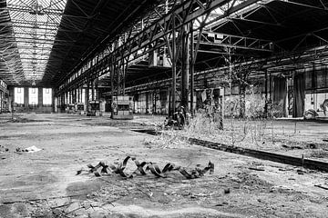 Verlaten oude fabriek Ruïne van de voormalige DDR Oost-Duitsland Nostalgie Geschiedenis van Animaflora PicsStock