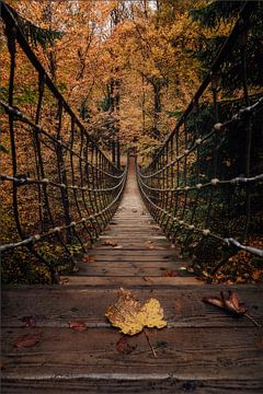 Herbst im Sauerland von Joris Machholz