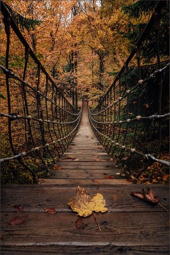 L'automne dans le Sauerland