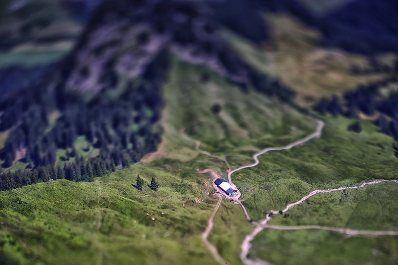 Miniaturbauernhof, Österreich von Hans van Oort