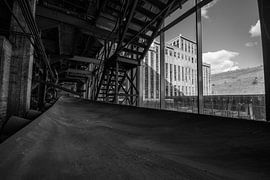 black and white by Bart Liesenborgs