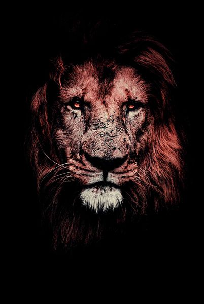 Portret van een leeuw - Donker - Nacht - Zwart - Leeuw - Leeuwen - Lion - Afrika - Roofdier - Wilde  van Designer