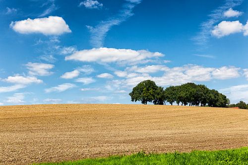  Sloping hilly landscape around Valkenburg in South Limburg