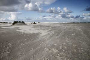 Wetter auf dem Schiermonnikoog auffächern von Gerda de Voogd