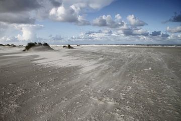 Ventiler la météo sur Schiermonnikoog sur Gerda de Voogd