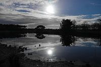 reflection
