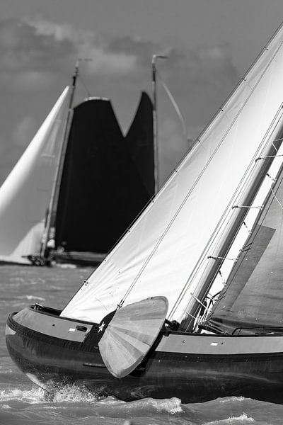 Skutsje klassische Segelboote auf dem IJsselmeer von Sjoerd van der Wal Fotografie