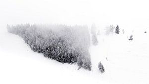 Boven de Wolken: Dronefoto van een Besneeuwd Dennenbos van Alex Pansier