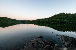 Réflexion des arbres dans un lac en Norvège sur Ellis Peeters