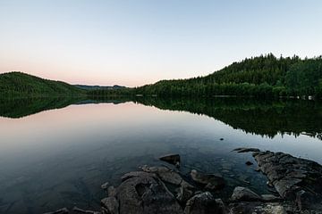 Reflectie van bomen in een meer in Noorwegen van Ellis Peeters