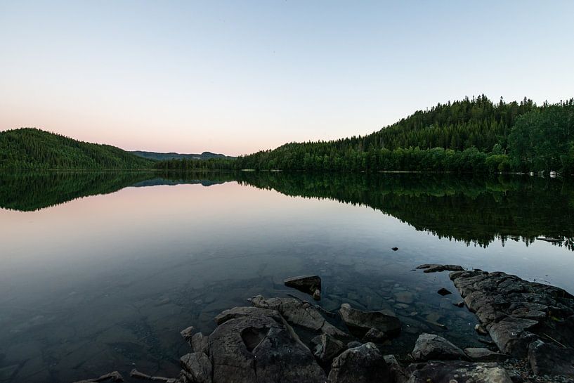 Spiegelung von Bäumen in einem See in Norwegen von Ellis Peeters