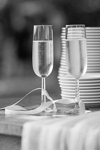 Champagne love