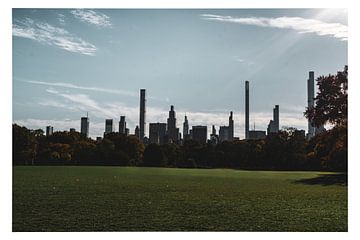 Central Park NYC by cudbeart