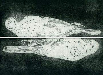 Sœurs, Gravure sur Helga Pohlen - ThingArt