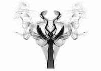 Smoke Art - Fenix
