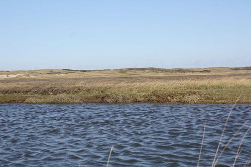 Slufter Vallei Texel