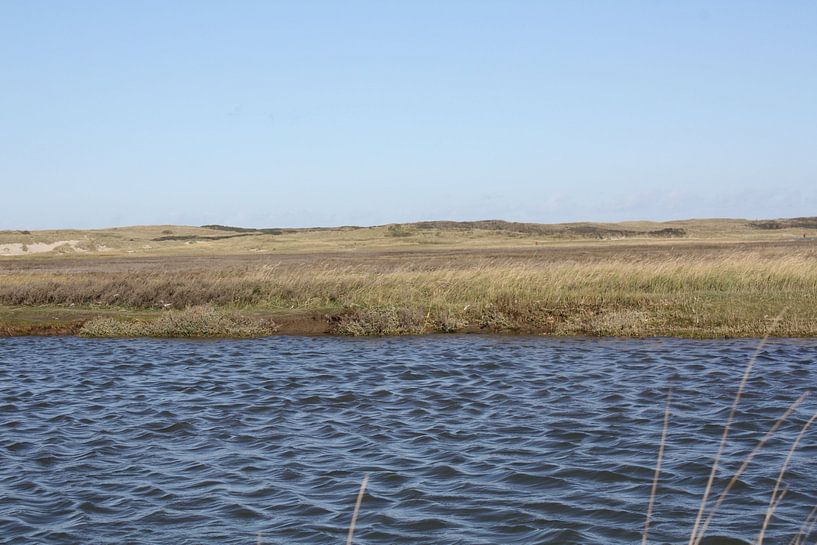 Slufter Vallei Texel by Edwin Entrop