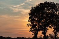 bomen silhouet en zonsondergang. van Anjo ten Kate thumbnail