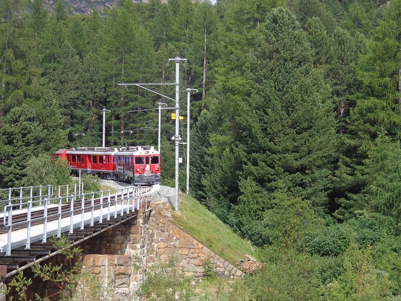 Romantic mountain train coming Out of the forest by Patrick Verhoef