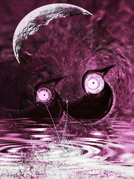 oiseaux noirs par Christine Nöhmeier