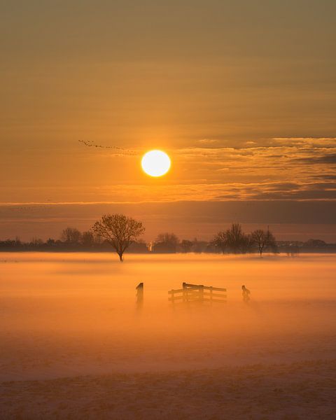 Soleil d'hiver sur Alblasserwaard par Raoul Baart