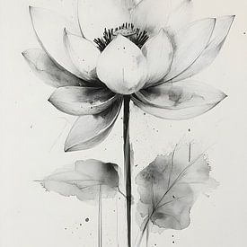 Krachtige Lotus: Een Tijdloze Schoonheid van But First Framing