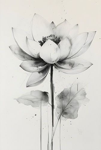 Lotus puissant : une beauté intemporelle