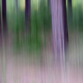 PARQUE NATURAL DE LA BRENA ICM - purple haze von Bernd Hoyen