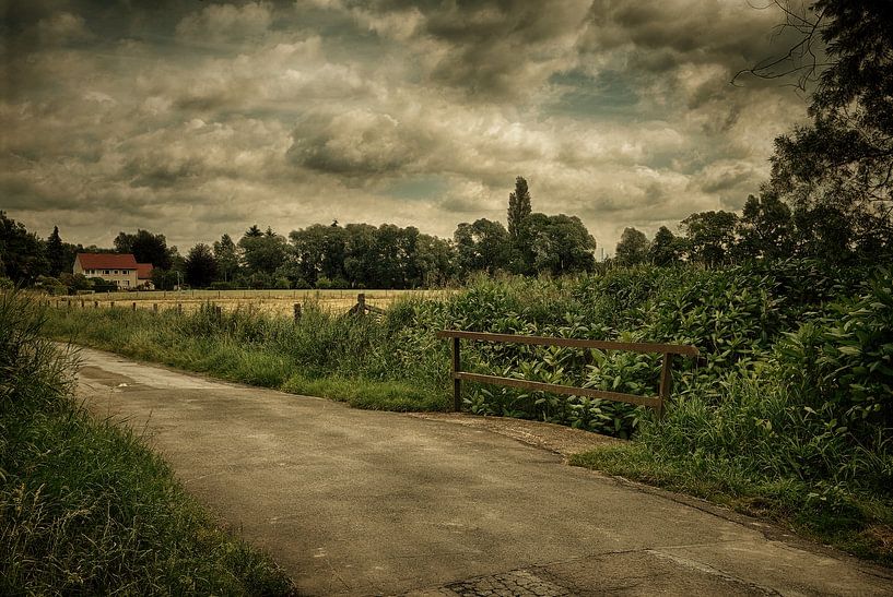 Terug naar de natuur van Momentaufnahme | Marius Ahlers
