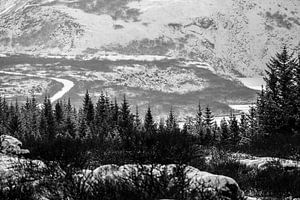 Route dans la vallée de l'hiver Paysage monochrome