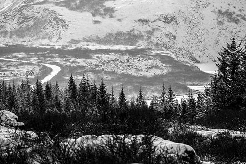 Route dans la vallée de l'hiver Paysage monochrome