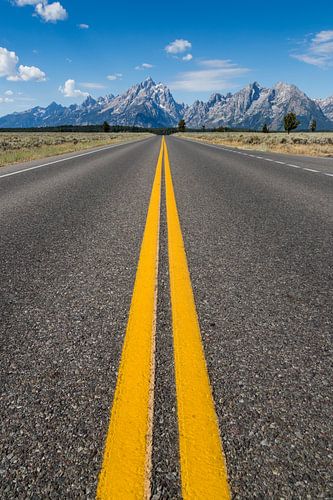The road to the mountains van Bart van Dinten