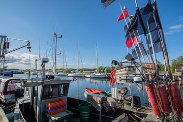 Vissersboten met vlaggen in de haven van Thiessow, Rügen van GH Foto & Artdesign