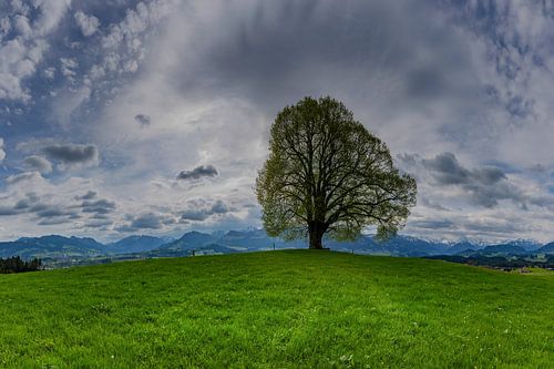 Wittelsbacher Höhe, Oberallgäu
